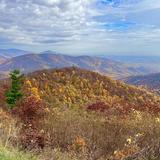 Shenandoah National Park