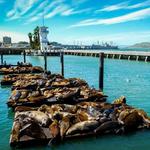 Fisherman's Wharf