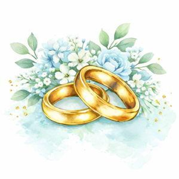 Contribute to our honeymoon / newlywed fund