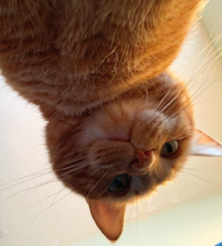 The Wedding Website of Molly DuVall and Reyes Martinez