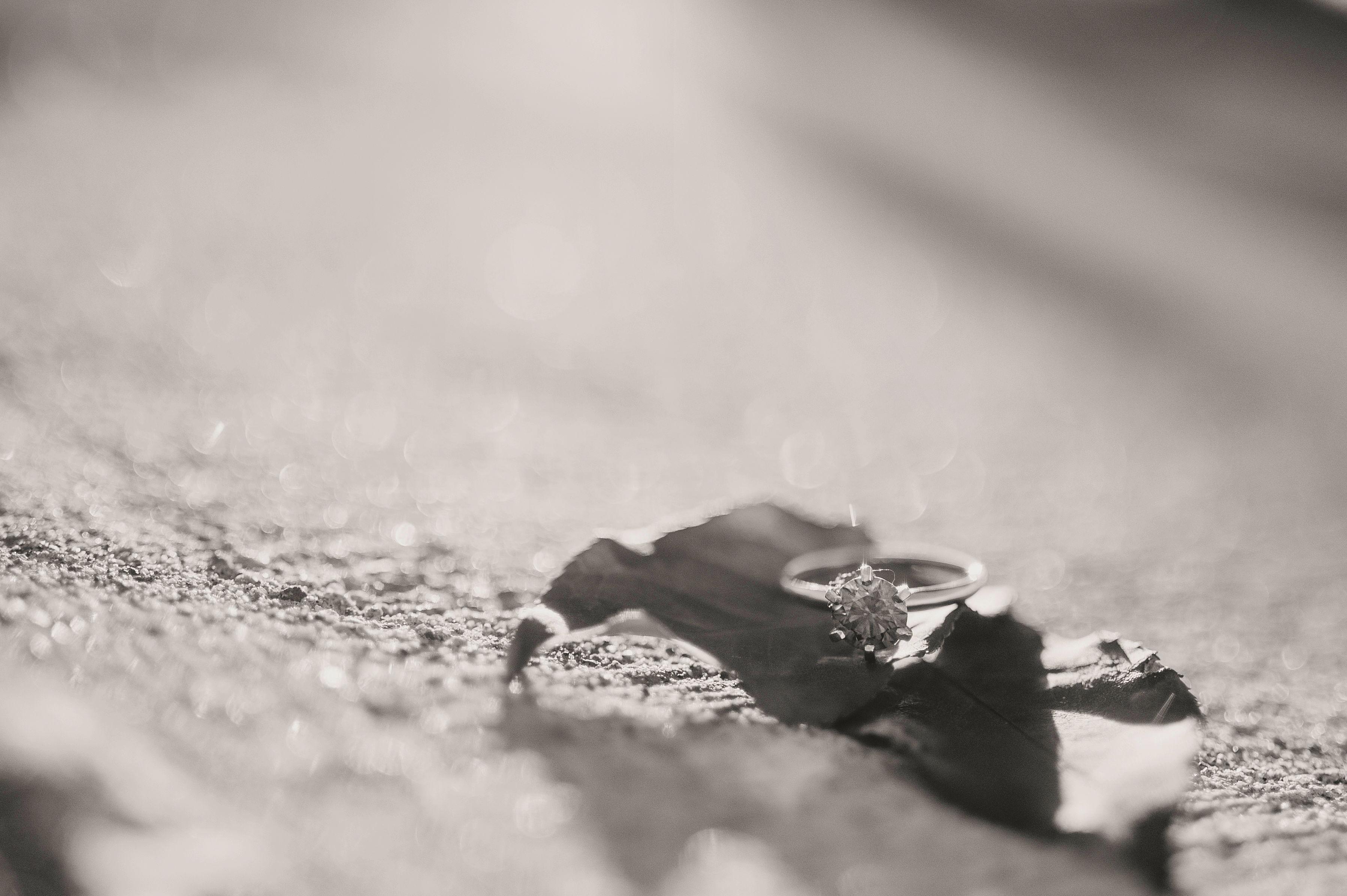 The Wedding Website of Alessa D’Alessio and Anthony Holzer