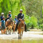 Sea Safari - Vallatra Adventures