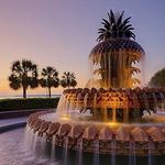 Pineapple Fountain