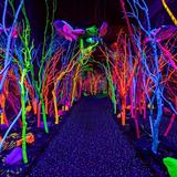 Meow Wolf Santa Fe | House of Eternal Return