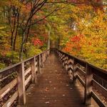 Brown County State Park