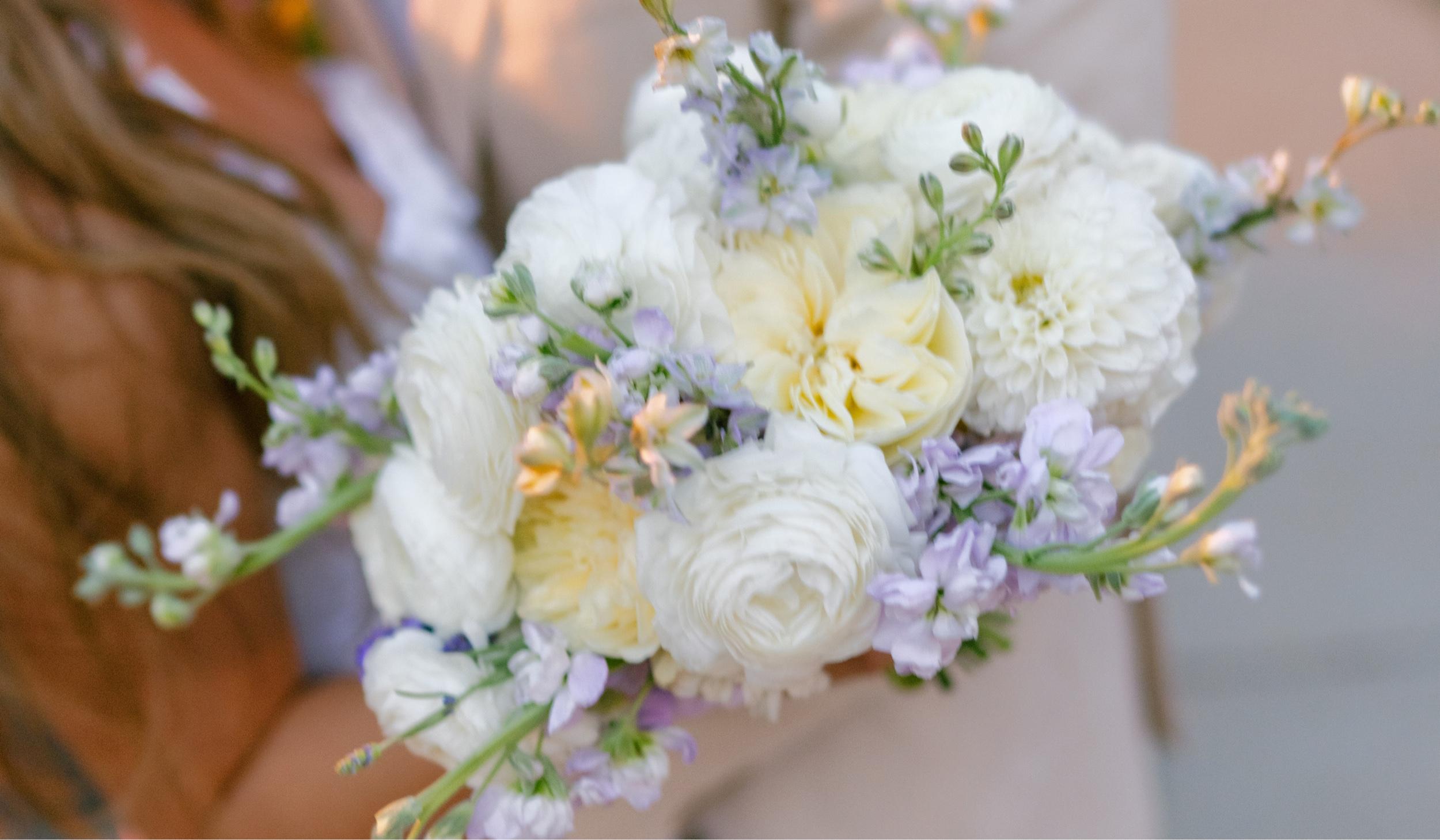 The Wedding Website of Cecilia Gutierrez and Samuel Charlton