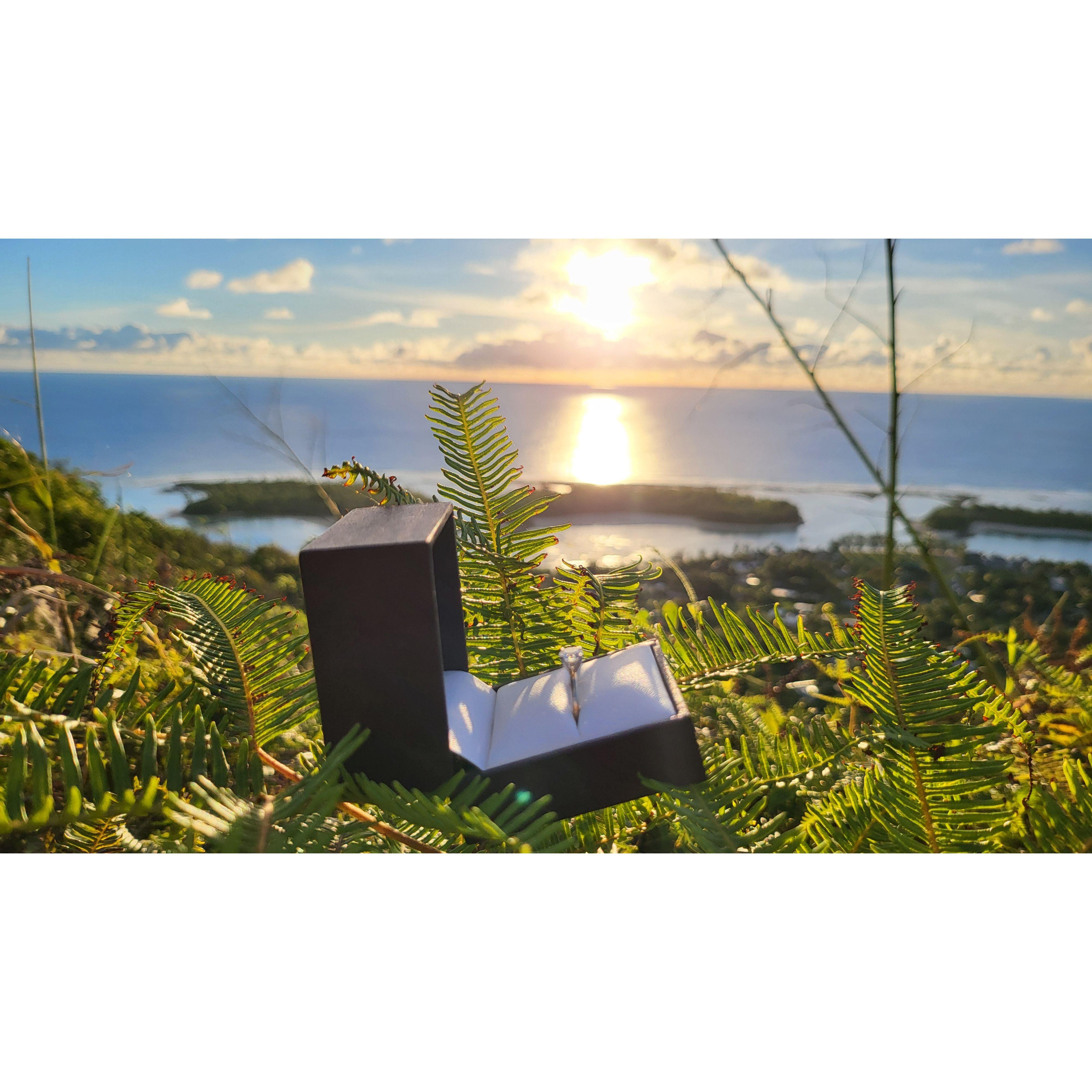 We went on a hike the morning after our engagement!