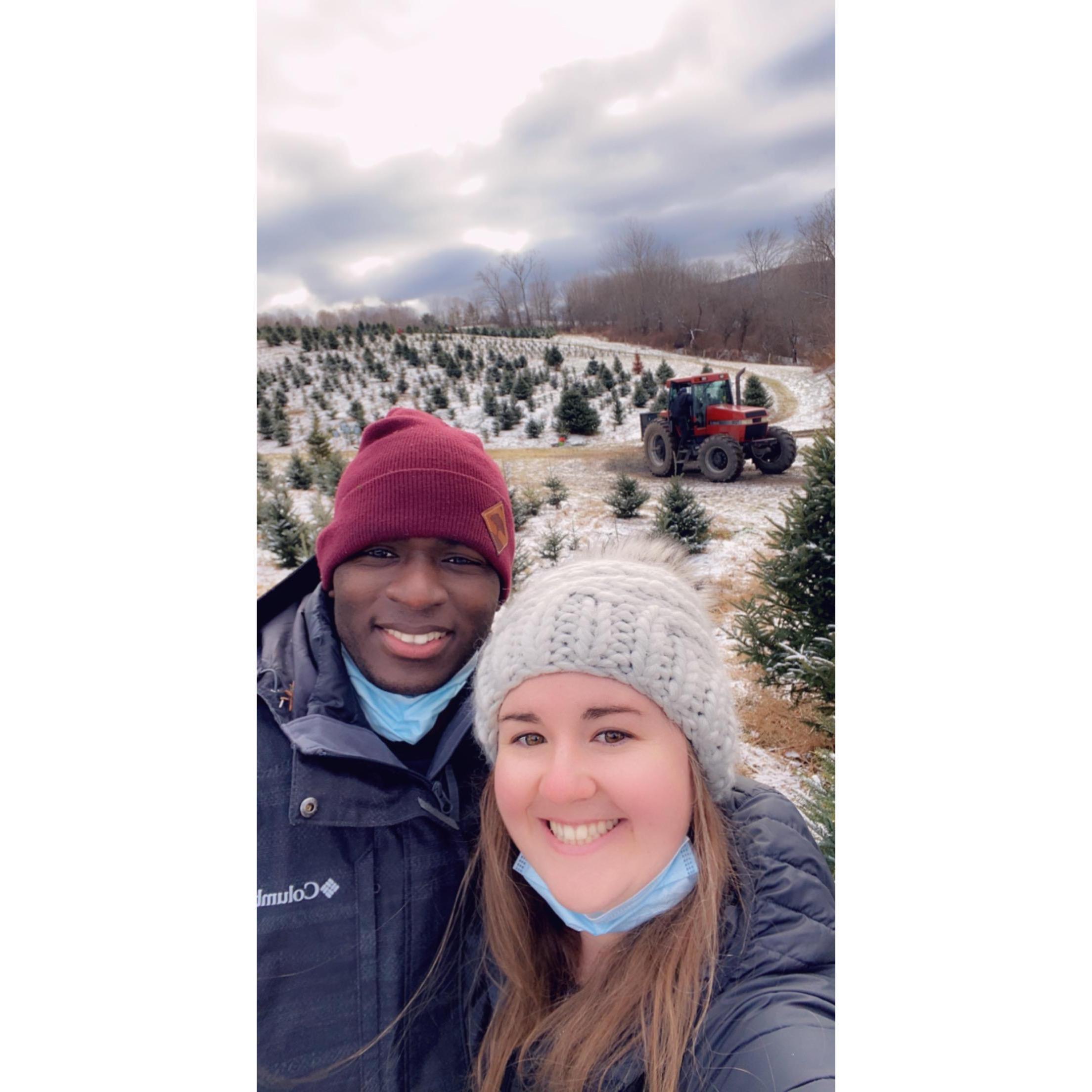 📍Ioka Valley Farm, Massachusetts