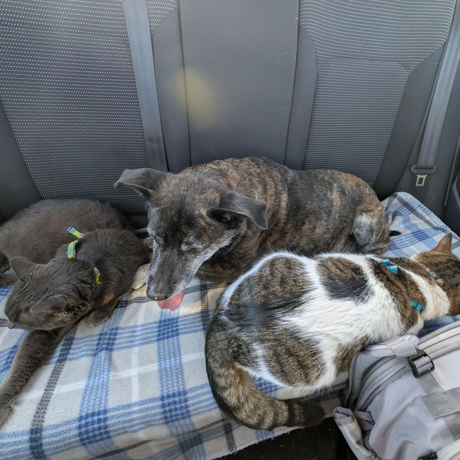 Snuggles before our hike.