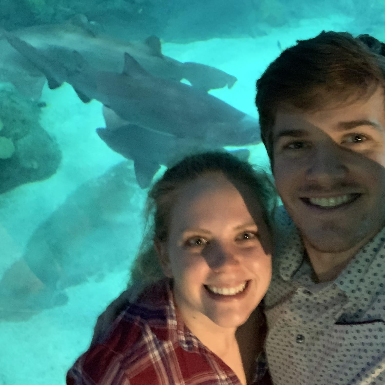 Shark selfie!🦈 Denver Aquarium August 2022
