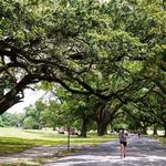 Audubon Park