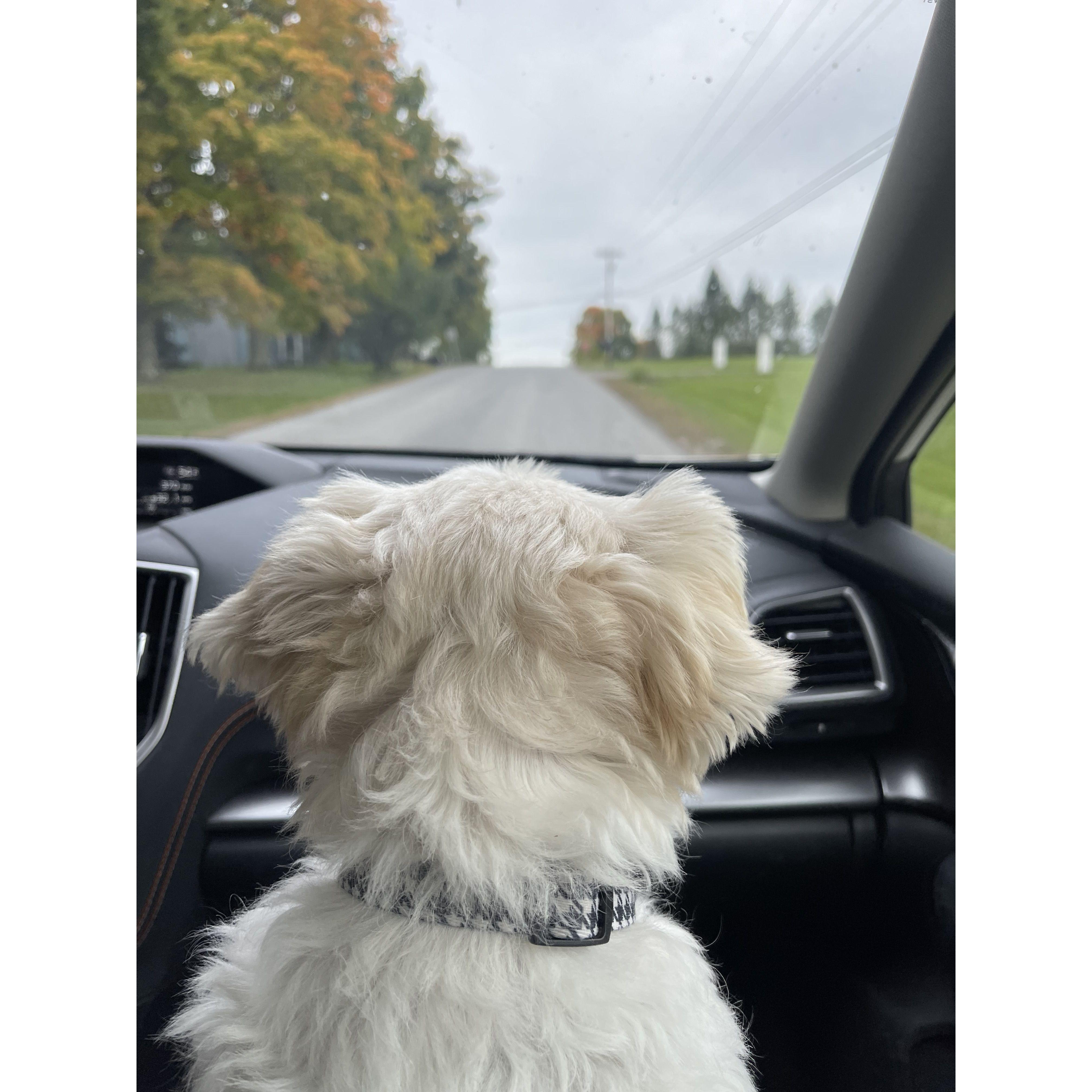 Countless drives through town