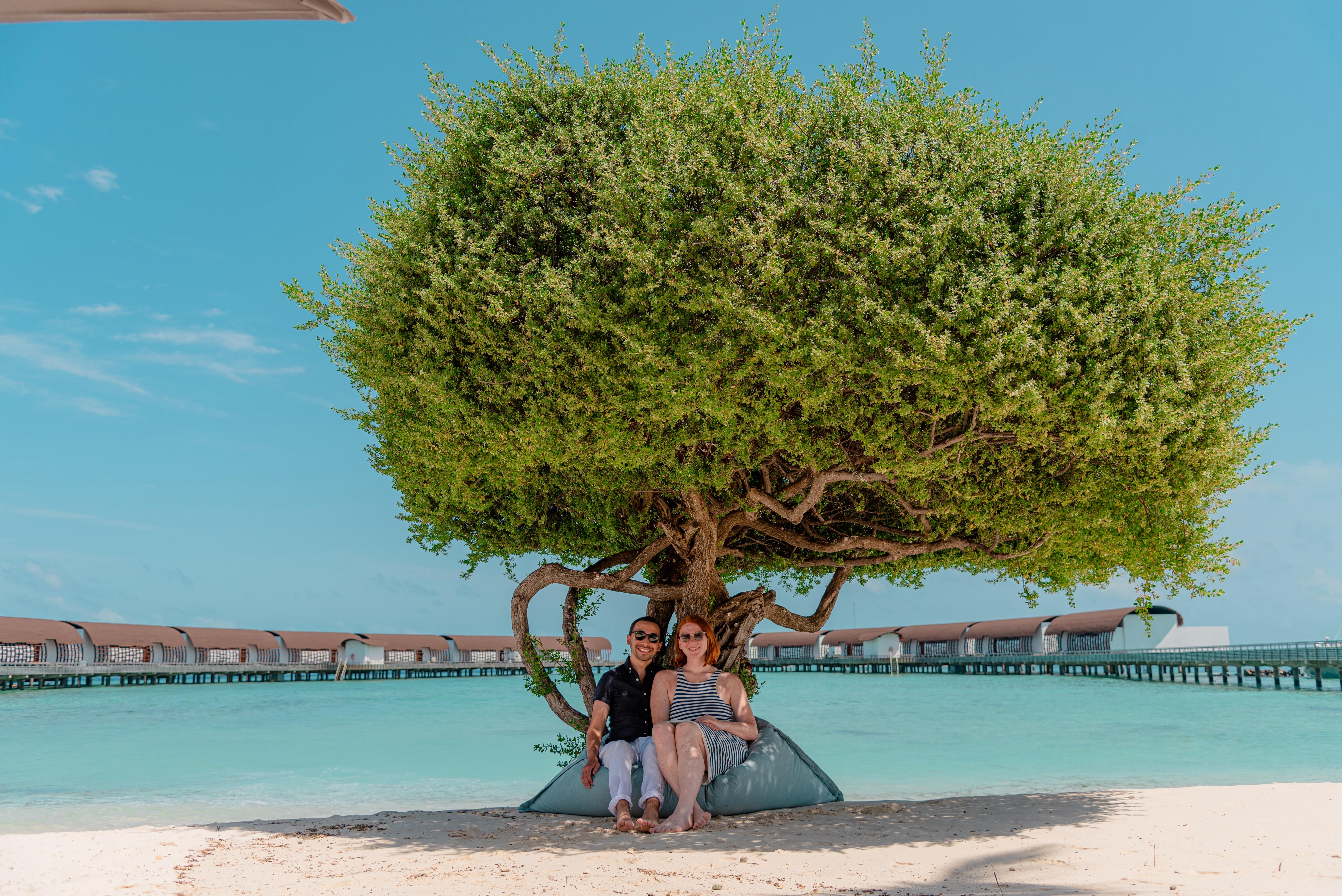 The Wedding Website of Alexa Lauinger and Adam Barbato