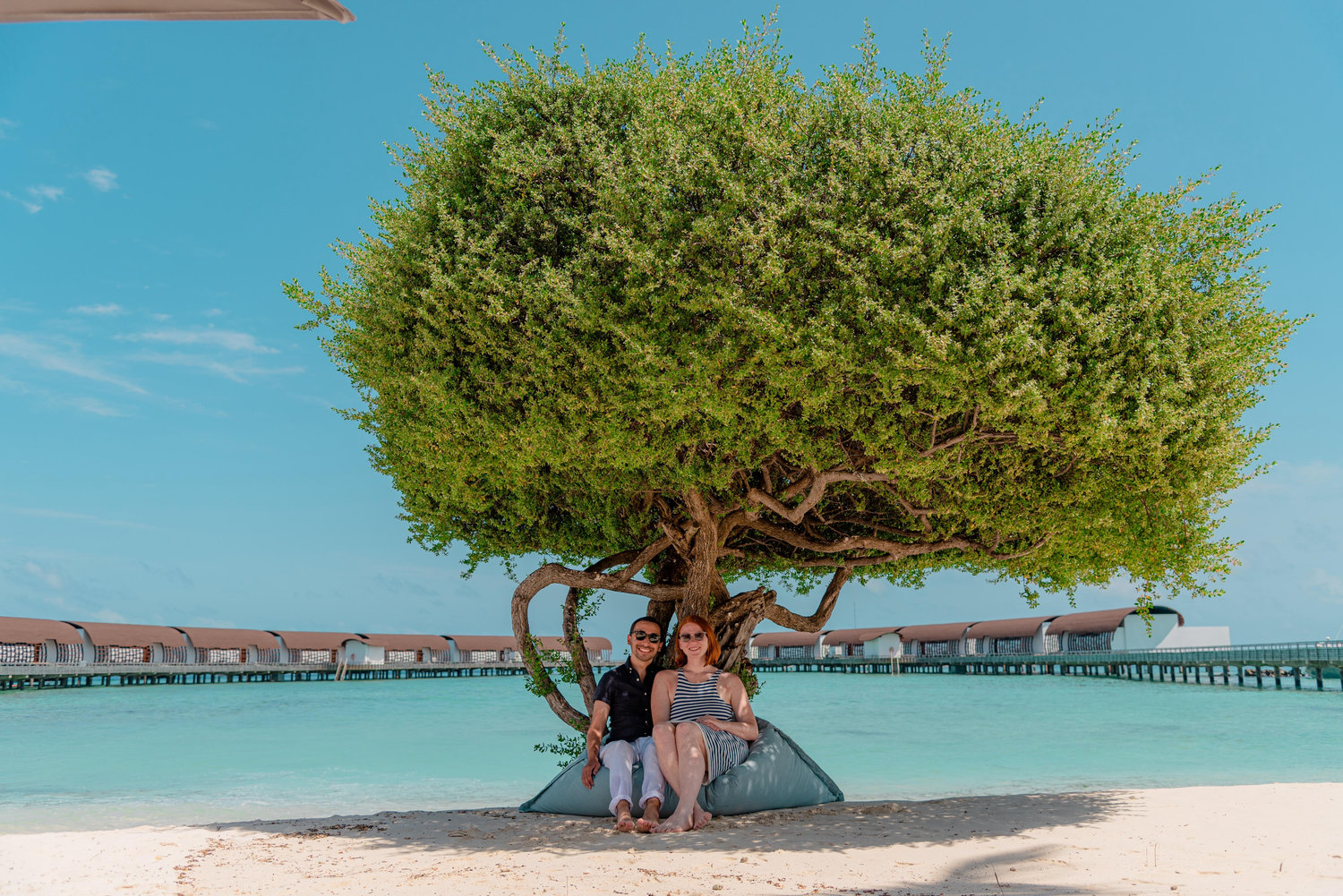 The Wedding Website of Alexa Lauinger and Adam Barbato