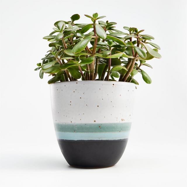 Aveiro Medium Blue Planter