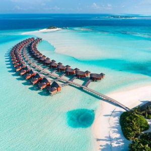 Honeymoon Fund