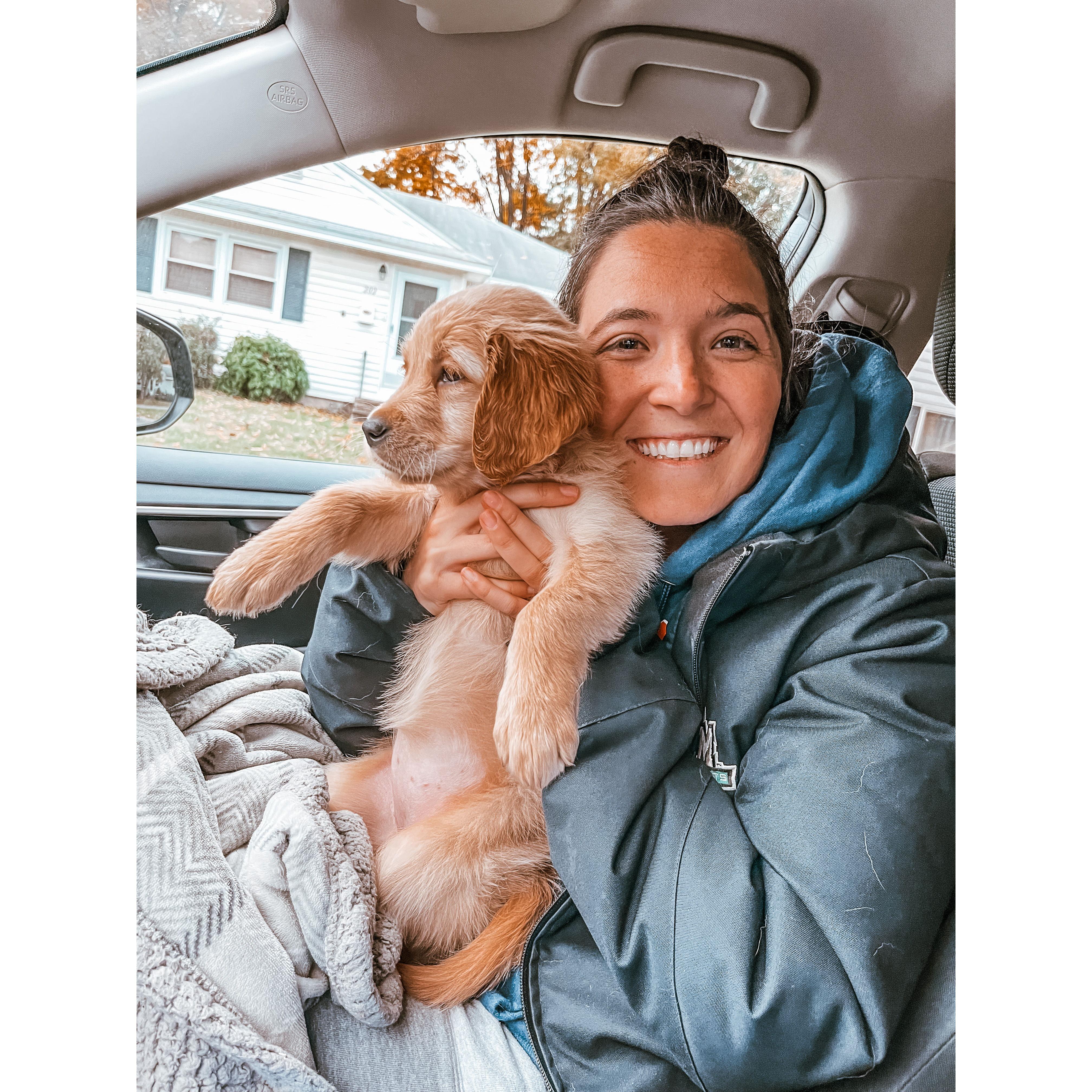 Picking up our Bailey girl!