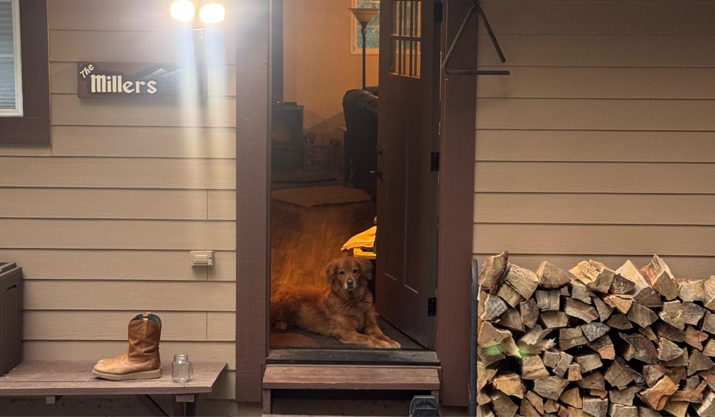 80385717-49db-449e-87fa-5eddebd72ee3