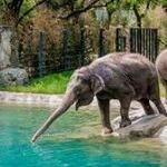 Fort Worth Zoo