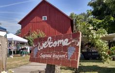 Saginaw Vineyard