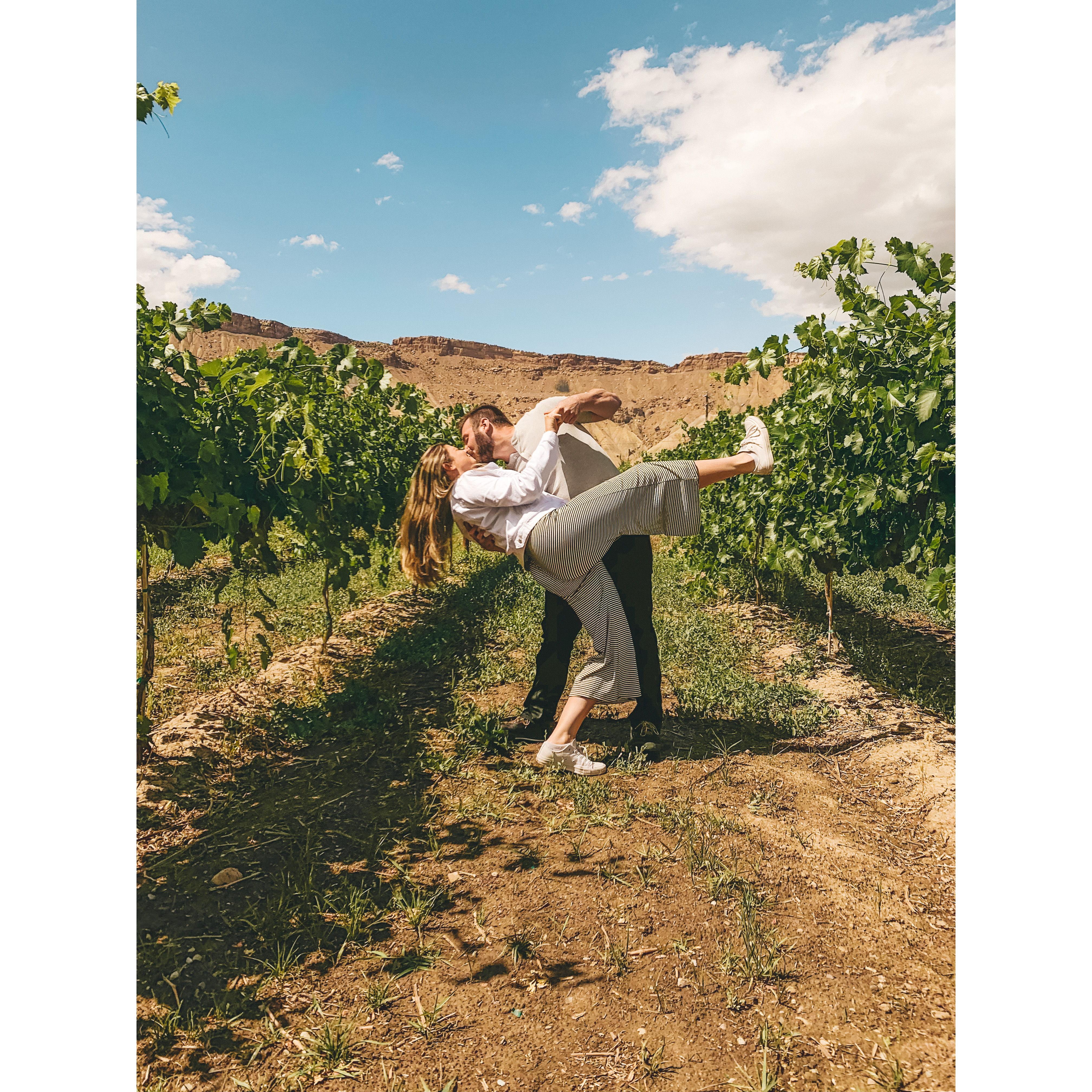 Palisade, CO- June 2019