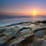 La Jolla Tide Pools