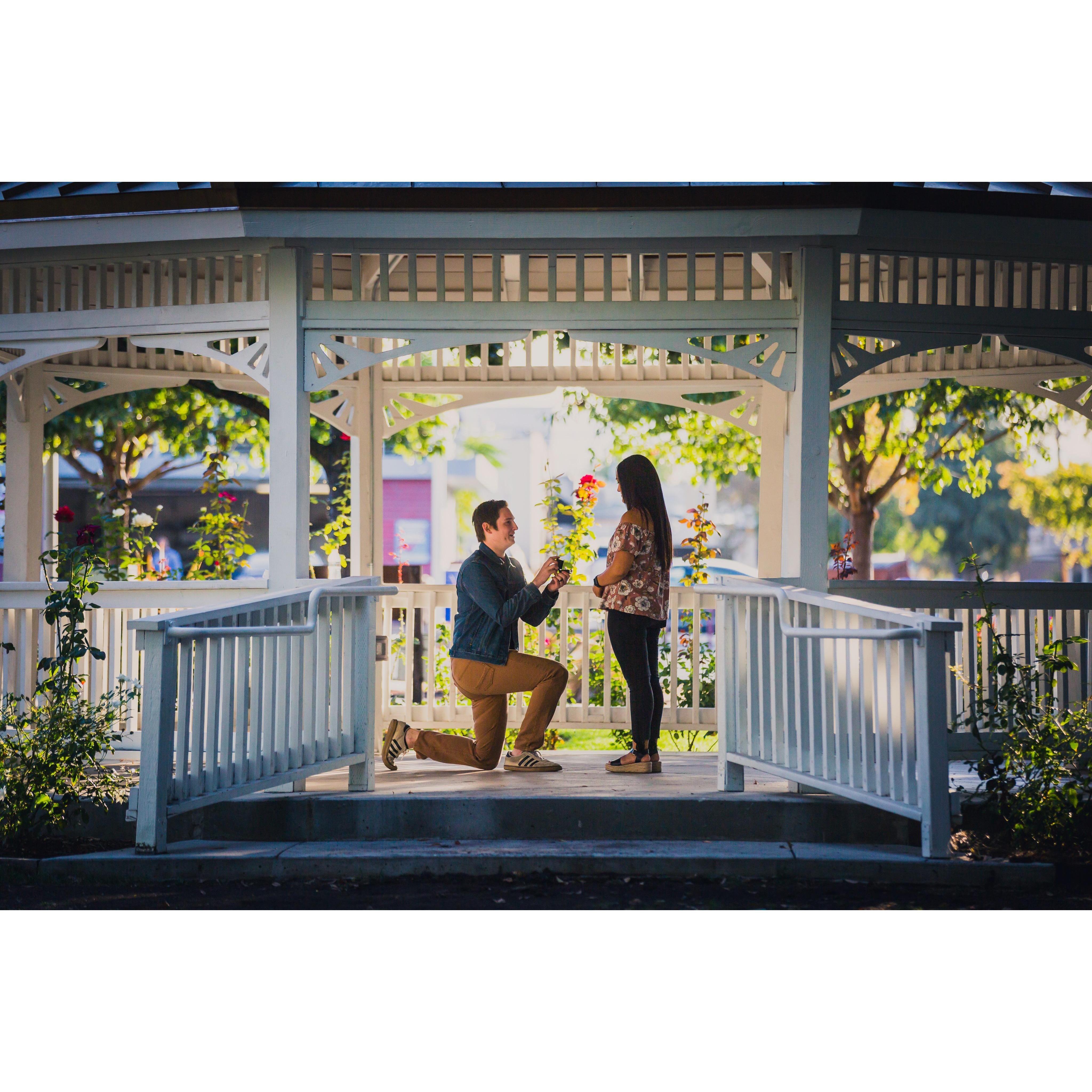 Brian down on one knee asking Sefra to marry him! 10/7/19
by: Will Bennett Photo