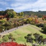 Mount Lofty Botanic Garden