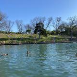 Barton Springs Pool