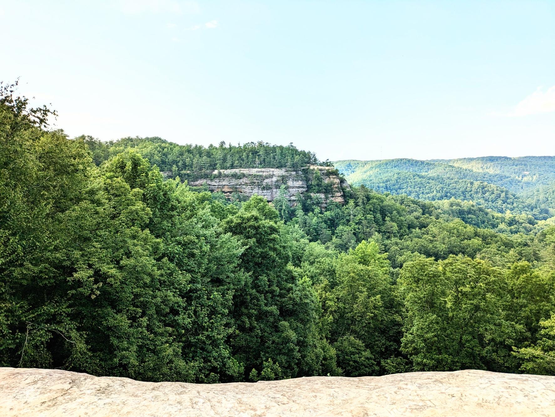 The Wedding Website of Moriah Wilbur and Elijah Hicks