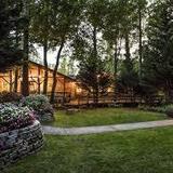 Forrest Hills Resort