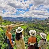 Half-Day Coffee Plantation Private Tour