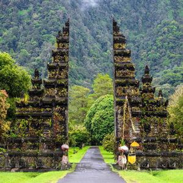 Trips Excursions