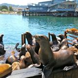 Monterey & Pacific Grove — Things to Do & Outdoors