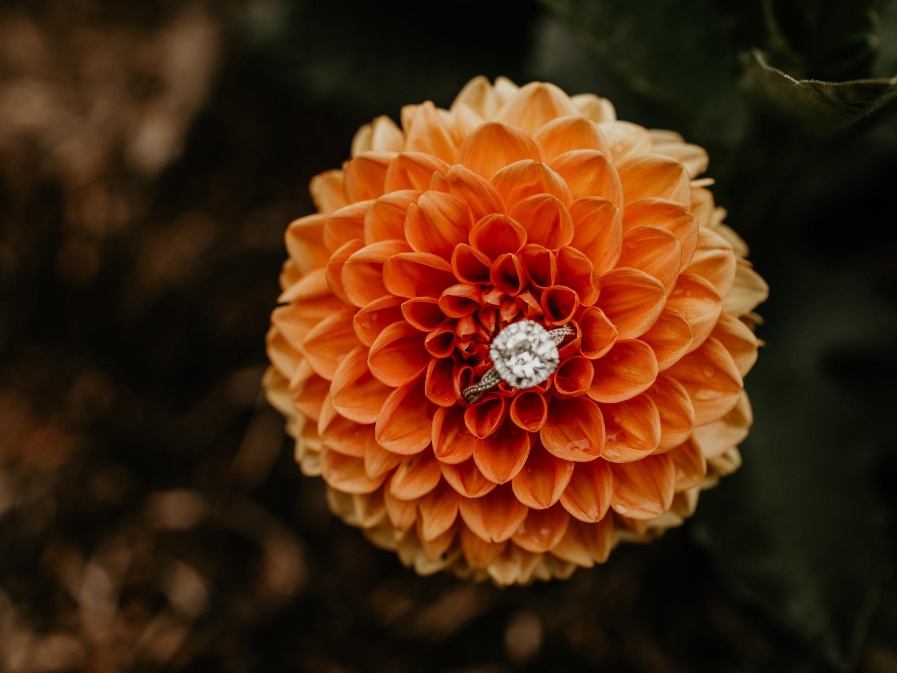 The Wedding Website of Wendy Ouyang and Nicholas Saverio Pasqua