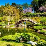 The Huntington Library, Art Collections, and Botanical Gardens