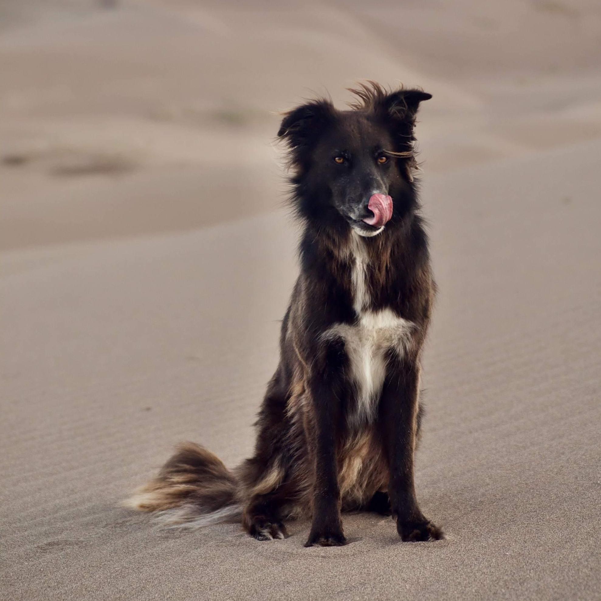 Great Sand Dunes National Park