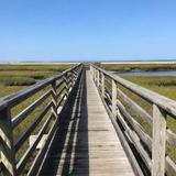 Grays Beach Boardwalk