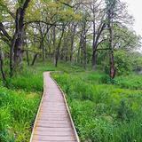 Kettle Moraine State Forest - Lapham Peak Unit