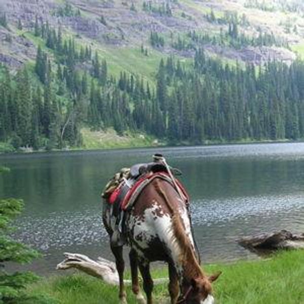 Horseback Ride