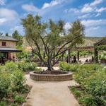 Europa Village Wineries & Resort