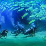 Beginners Scuba Diving Excursion