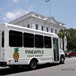 Pineapple Tour Group