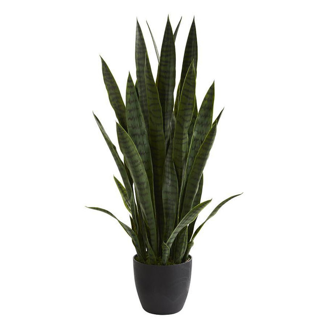 Sansevieria Faux Plant, 3'