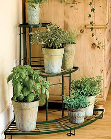 Quarter-Round Plant Terrace (Black)