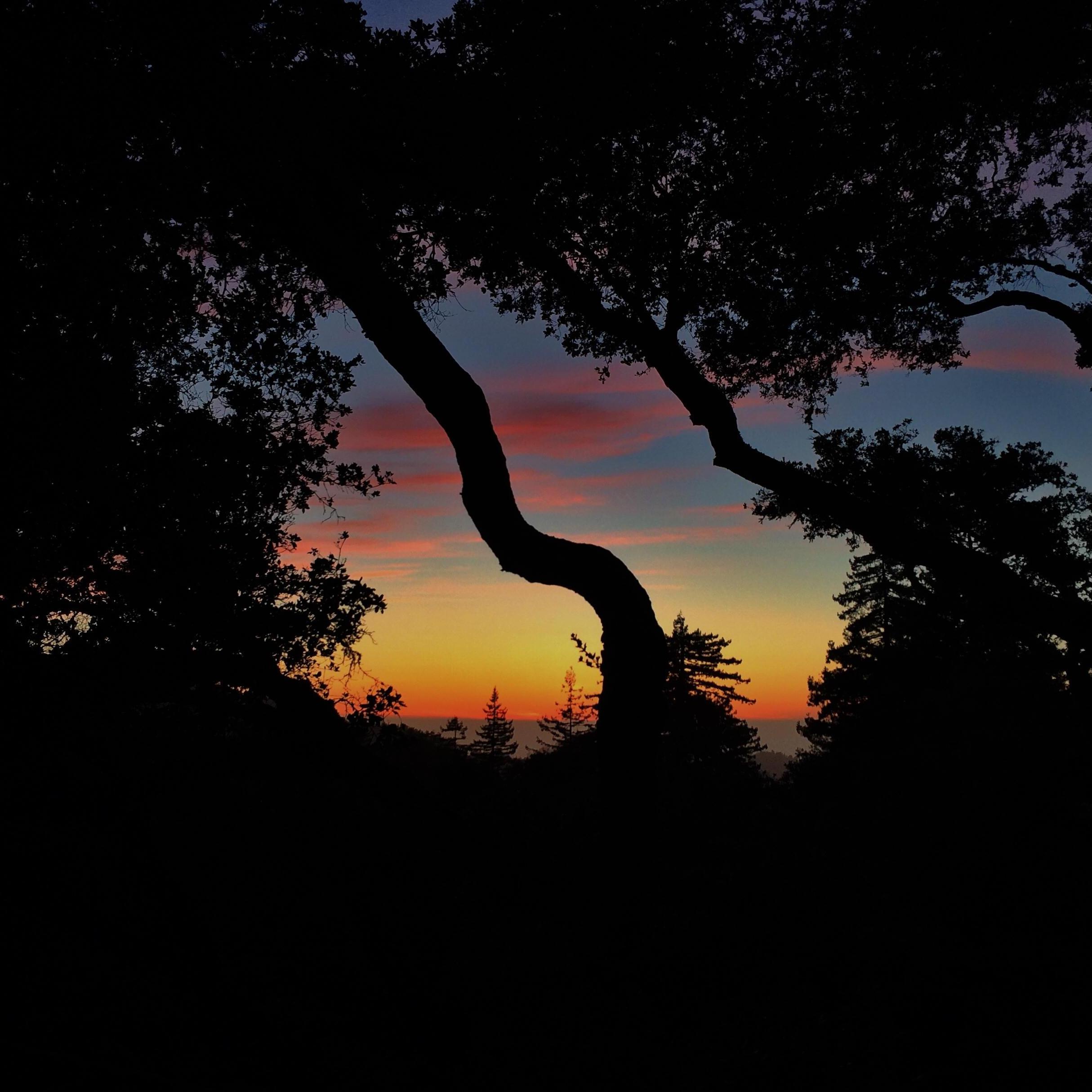 A most memorable Big Sur sunset from our first trip there together.