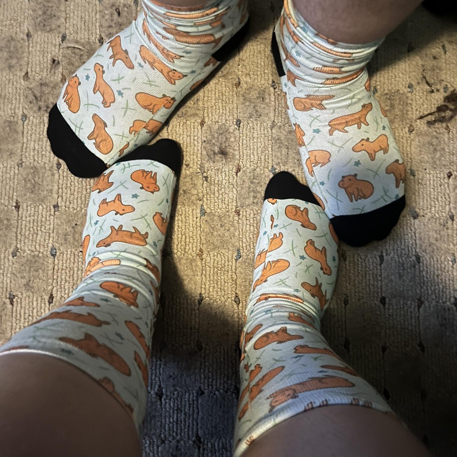 Our matching capybara socks! Look for them at our wedding 👀