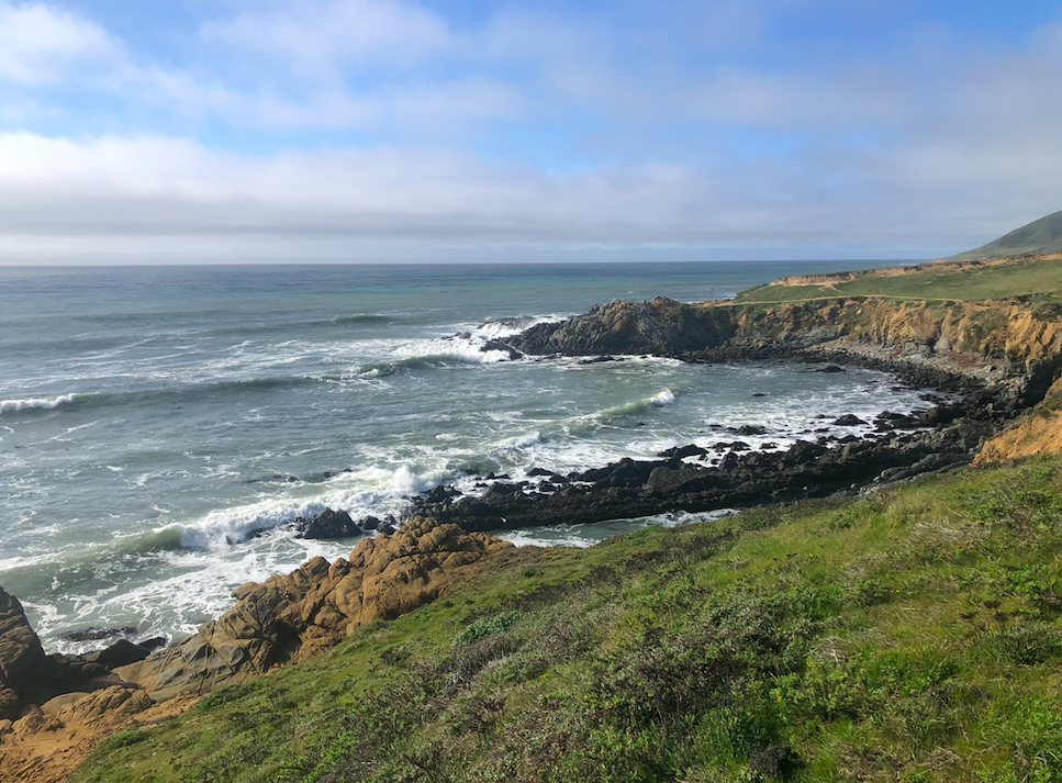 The Wedding Website of Ally Lewis and Kort Heyneman