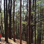 Provin Trails