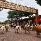 Fort Worth Stockyards